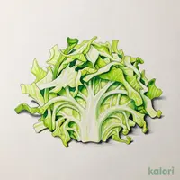 Cabbage