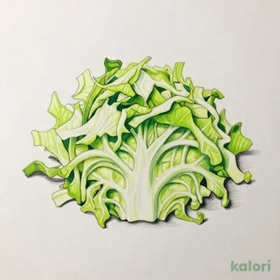 Cabbage