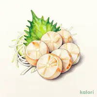 Hokkaido Scallop Sashimi