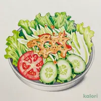 矢場とんサラダ