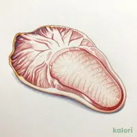 大判牛タン