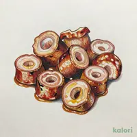 どんちゃん