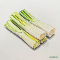 白ねぎ