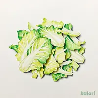 キャベツ