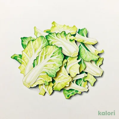 キャベツ