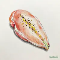 サラダチキン レモン&ハーブ 85g