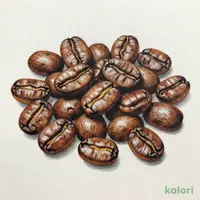 柑橘系のキレの良い酸味 調和のとれた味わい ペルー マチュピチュ インカウアシ組合（豆） 150g
