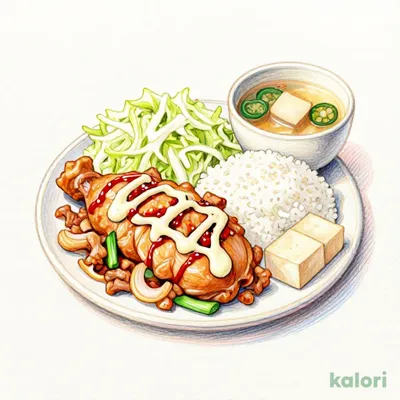 Popular Combo Set Meal of Chicken Nanban and Ginger Pork