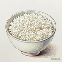 白ごはん