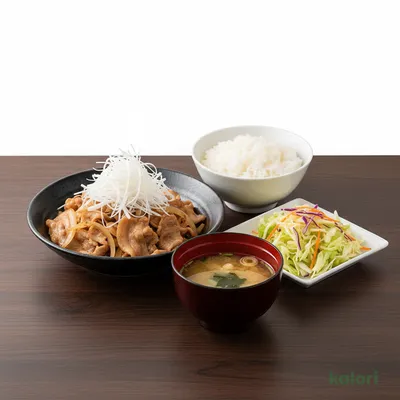 Negi Shio Buta Set Meal