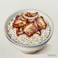 Pork Rice Bowl, Large Topping