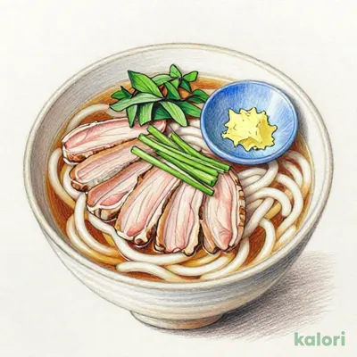 ねぎたっぷり厚切り鴨南蛮うどん