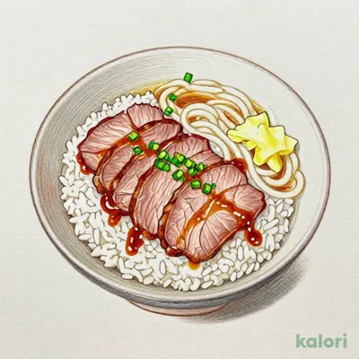 Roast Beef Rice Bowl with Small Noodle Set