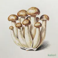 ばらしめじ