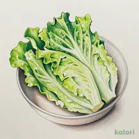 レタス