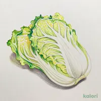 白菜