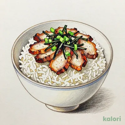 Salted Chashu Rice Bowl